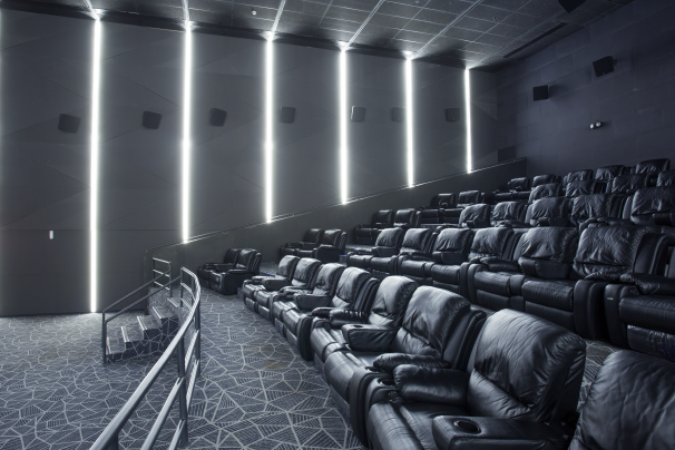 vista cinemas dasmarinas